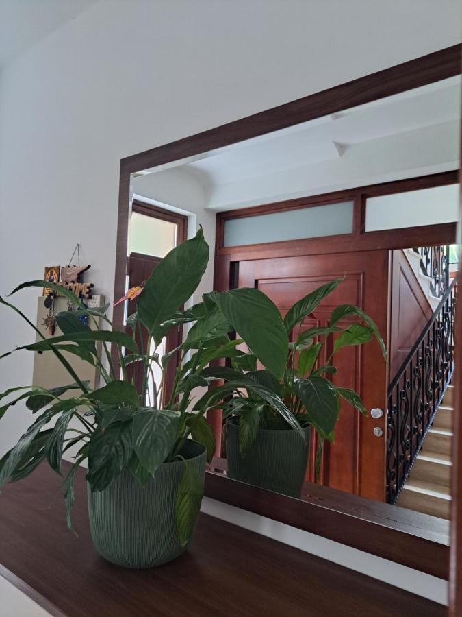 Apartment Benvenuti Котор Екстериор снимка
