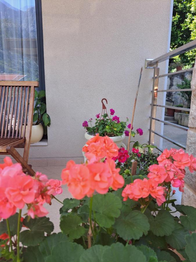Apartment Benvenuti Котор Екстериор снимка